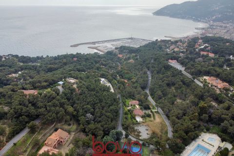Helårsgrund i Andora, Savona, Andora - € 329.000 | Ref: TERRENO.ANDORA - foto 38