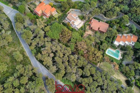 Helårsgrund i Andora, Savona, Andora - € 329.000 | Ref: TERRENO.ANDORA - foto 4