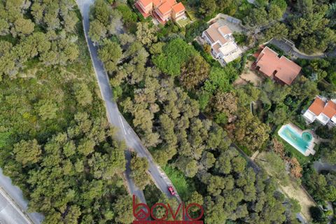 Helårsgrund i Andora, Savona, Andora - € 329.000 | Ref: TERRENO.ANDORA - foto 10