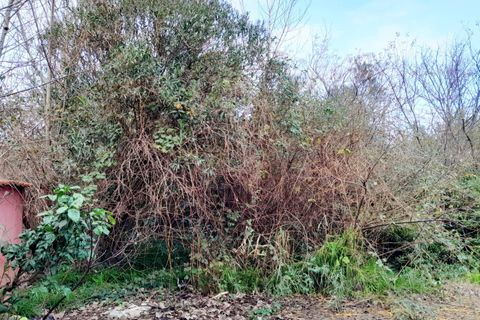 Villa em Castel Volturno, Caserta, Castel Volturno - € 80.000 | Ref: BR132 - foto 11