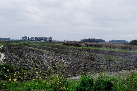Villa em Castel Volturno, Caserta, Castel Volturno - € 80.000 | Ref: BR132 - foto 26
