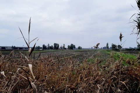 Villa em Castel Volturno, Caserta, Castel Volturno - € 80.000 | Ref: BR132 - foto 27