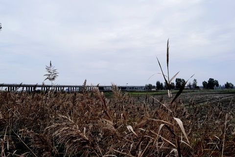 Villa em Castel Volturno, Caserta, Castel Volturno - € 80.000 | Ref: BR132 - foto 28