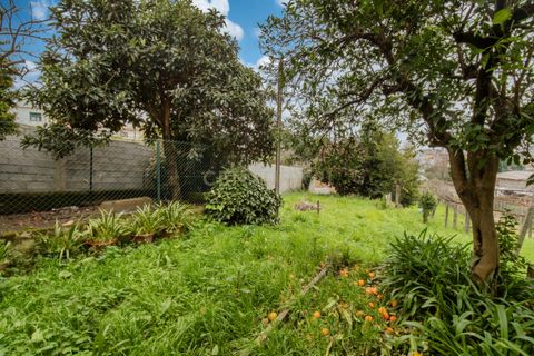 Villa a Valongo, Porto, Valongo - € 220.000 | Ref: C0272-02615 - foto 23