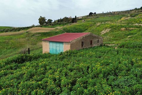 Grond in Ribera, Agrigento, Ribera - € 40.000 | Ref: T/225 - foto 4