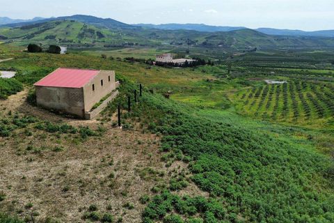 Grond in Ribera, Agrigento, Ribera - € 40.000 | Ref: T/225 - foto 8