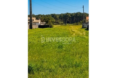 Helårsgrund i Vagos, Aveiro, Vagos - € 80.000 | Ref: SÒL_277 - foto 1