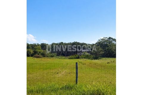 Helårsgrund i Vagos, Aveiro, Vagos - € 80.000 | Ref: SÒL_277 - foto 3