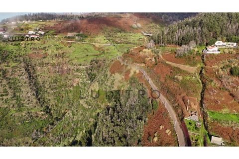 Helårsgrund i Calheta, Madeira, Calheta - € 75.000 | Ref: SÒL_107 - foto 9
