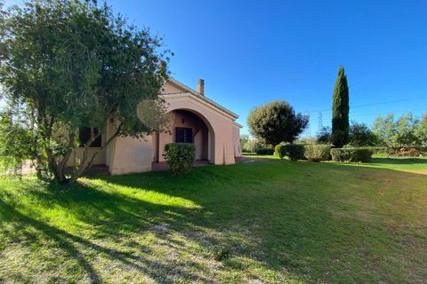 Villa a Grosseto, Grosseto, Grosseto - € 750.000 | Ref: a6455rv2516673a - foto 3