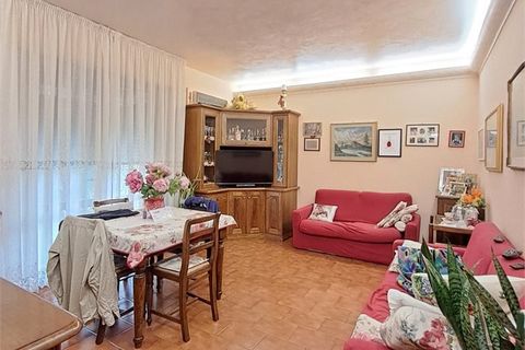 Villa i Massarosa, Lucca, Massarosa - € 420.000 | Ref: M231 - foto 4