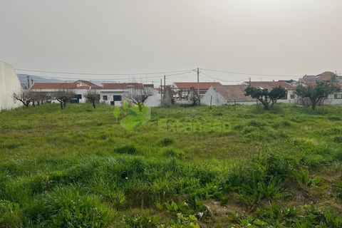 Helårsgrund i Cadaval, Lisbon, Cadaval - € 95.000 | Ref: 2194 - foto 17