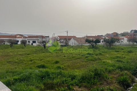 Helårsgrund i Cadaval, Lisbon, Cadaval - € 95.000 | Ref: 2194 - foto 16