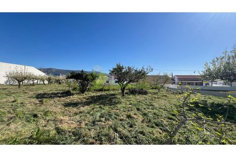 Helårsgrund i Cadaval, Lisbon, Cadaval - € 95.000 | Ref: 2194 - foto 3