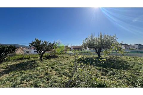 Helårsgrund i Cadaval, Lisbon, Cadaval - € 95.000 | Ref: 2194 - foto 4