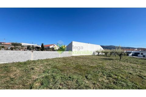 Helårsgrund i Cadaval, Lisbon, Cadaval - € 95.000 | Ref: 2194 - foto 5