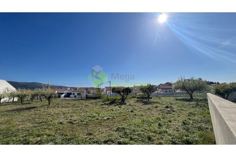 Helårsgrund i Cadaval, Lisbon, Cadaval - € 95.000 | Ref: 2194 - foto 7