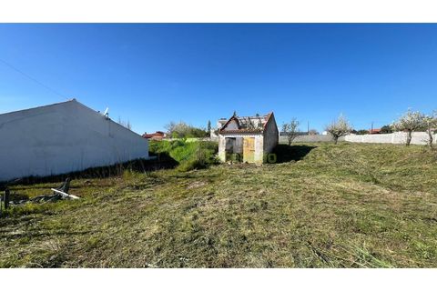 Helårsgrund i Cadaval, Lisbon, Cadaval - € 95.000 | Ref: 2194 - foto 11
