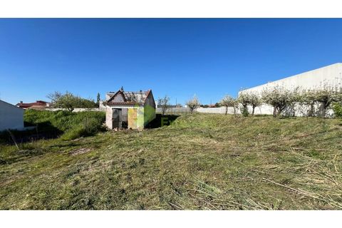 Helårsgrund i Cadaval, Lisbon, Cadaval - € 95.000 | Ref: 2194 - foto 12