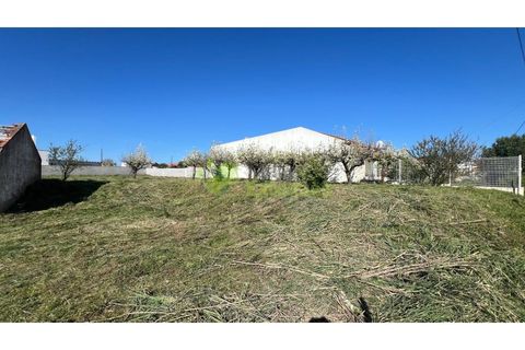 Helårsgrund i Cadaval, Lisbon, Cadaval - € 95.000 | Ref: 2194 - foto 13
