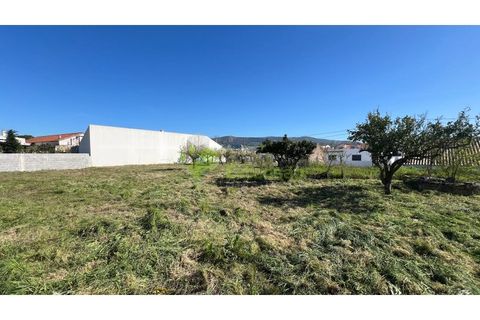 Helårsgrund i Cadaval, Lisbon, Cadaval - € 95.000 | Ref: 2194 - foto 14