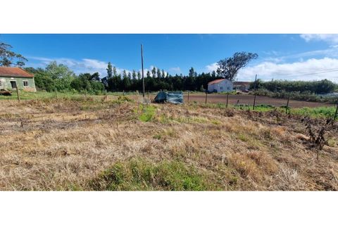 Villa a Carvalhal, Leiria, Carvalhal - € 349.900 | Ref: 1992 - foto 33
