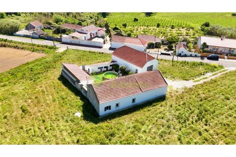 Villa a Carvalhal, Leiria, Carvalhal - € 349.900 | Ref: 1992 - foto 3