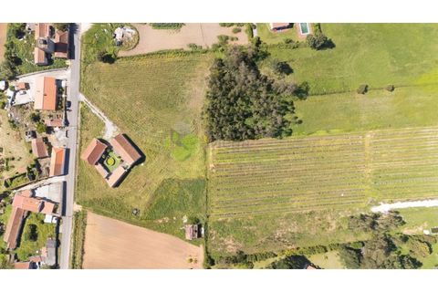 Villa a Carvalhal, Leiria, Carvalhal - € 349.900 | Ref: 1992 - foto 46