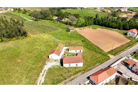 Villa a Carvalhal, Leiria, Carvalhal - € 349.900 | Ref: 1992 - foto 48