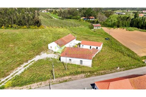 Villa a Carvalhal, Leiria, Carvalhal - € 349.900 | Ref: 1992 - foto 49