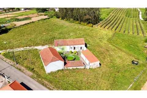 Villa a Carvalhal, Leiria, Carvalhal - € 349.900 | Ref: 1992 - foto 50