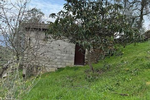 Helårsgrund i Tabuaco, Viseu, Tabuaco - € 63.000 | Ref: 830747 - foto 2