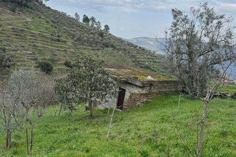 Helårsgrund i Tabuaco, Viseu, Tabuaco - € 63.000 | Ref: 830747 - foto 1