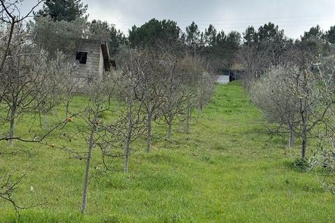 Helårsgrund i Tabuaco, Viseu, Tabuaco - € 63.000 | Ref: 830747 - foto 3