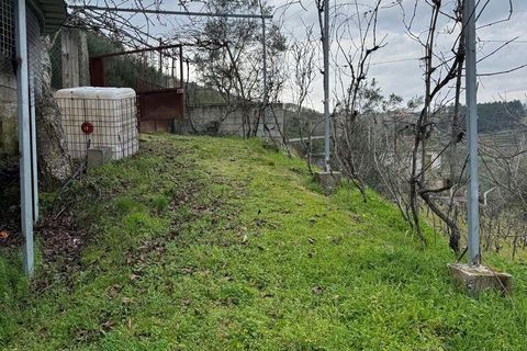 Helårsgrund i Tabuaco, Viseu, Tabuaco - € 63.000 | Ref: 830747 - foto 4