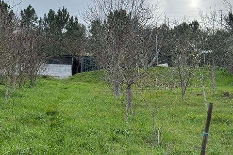 Helårsgrund i Tabuaco, Viseu, Tabuaco - € 63.000 | Ref: 830747 - foto 5