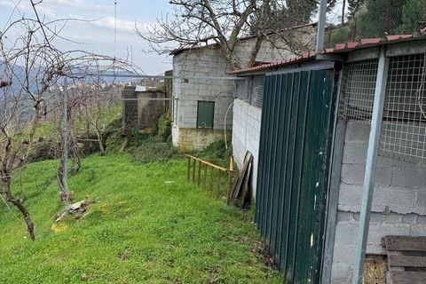 Helårsgrund i Tabuaco, Viseu, Tabuaco - € 63.000 | Ref: 830747 - foto 8