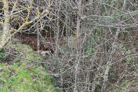 Helårsgrund i Tabuaco, Viseu, Tabuaco - € 63.000 | Ref: 830747 - foto 10