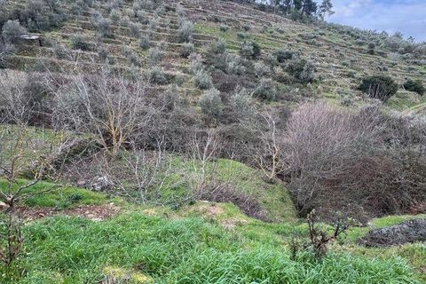 Helårsgrund i Tabuaco, Viseu, Tabuaco - € 63.000 | Ref: 830747 - foto 11