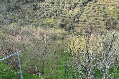 Helårsgrund i Tabuaco, Viseu, Tabuaco - € 63.000 | Ref: 830747 - foto 12
