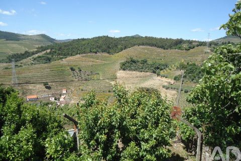 Byhus i Armamar, Viseu, Armamar - € 125.000 | Ref: 830332 - foto 11