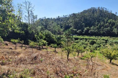 Tomt i Mafra, Lisbon, Mafra - € 56 000 | Ref: 123820 - foto 3