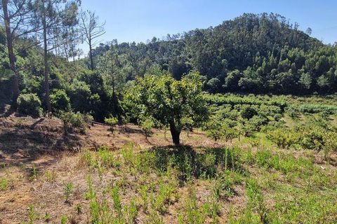 Tomt i Mafra, Lisbon, Mafra - € 56 000 | Ref: 123820 - foto 6