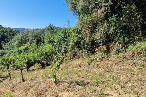 Tomt i Mafra, Lisbon, Mafra - € 56 000 | Ref: 123820 - foto 7