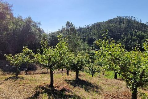 Tomt i Mafra, Lisbon, Mafra - € 56 000 | Ref: 123820 - foto 10