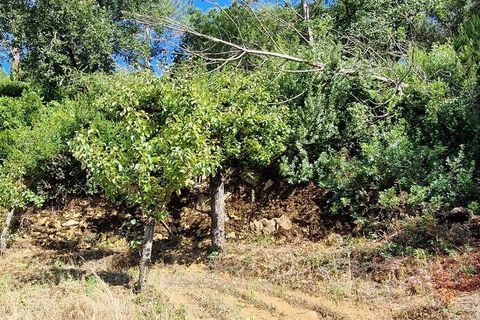 Tomt i Mafra, Lisbon, Mafra - € 56 000 | Ref: 123820 - foto 12