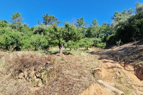 Tomt i Mafra, Lisbon, Mafra - € 56 000 | Ref: 123820 - foto 14