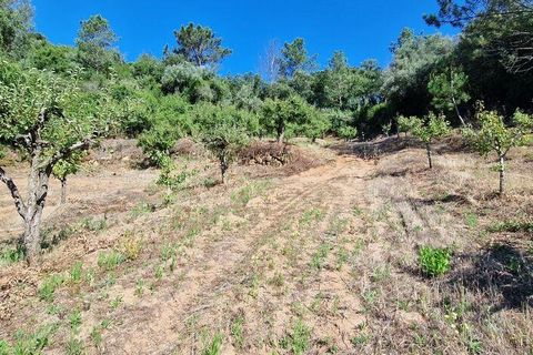 Tomt i Mafra, Lisbon, Mafra - € 56 000 | Ref: 123820 - foto 16
