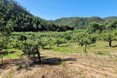 Tomt i Mafra, Lisbon, Mafra - € 56 000 | Ref: 123820 - foto 17