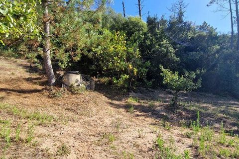 Tomt i Mafra, Lisbon, Mafra - € 56 000 | Ref: 123820 - foto 20